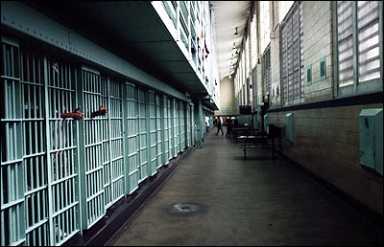 rikers