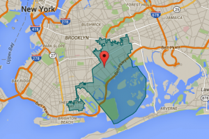 The 19th Senate District Seat includes Canarsie, East New York Mill Basin and Brownsville.