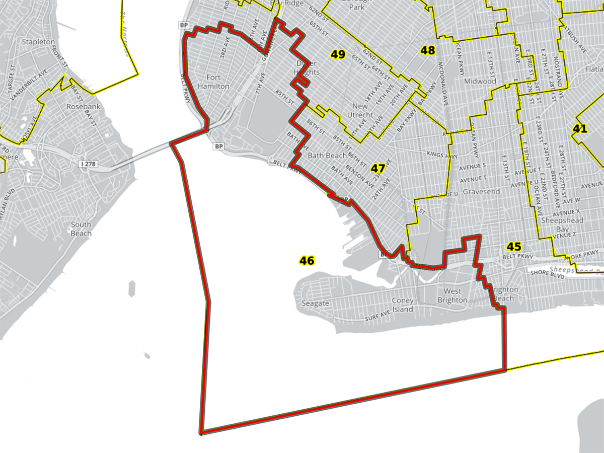 46 Assembly District