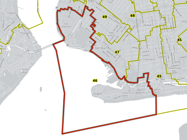46 Assembly District