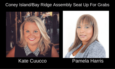 Race Is On Among Dems Coney Island-Bay Ridge Assembly