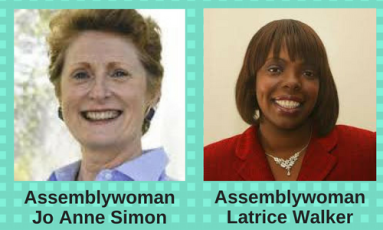 Assemblywoman Jo Anne Simon