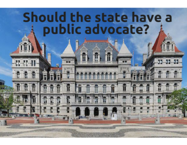 Should the state have a public advocate