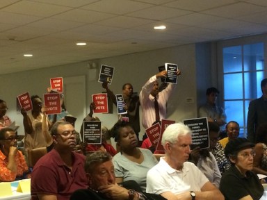 Local Residents Protesting the Ft Green Park Renovation Project