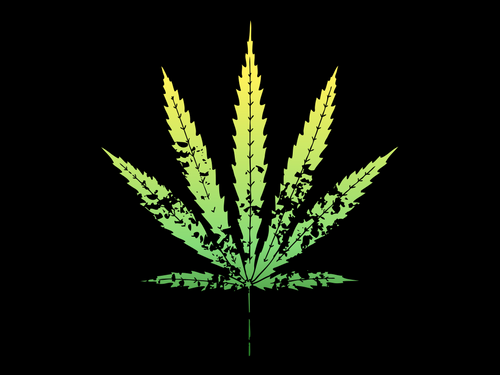 Marijuana Laws Reform (1)