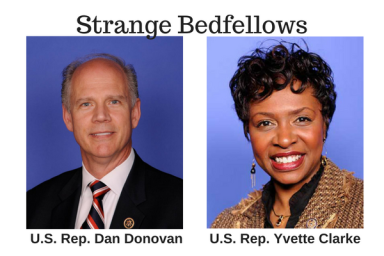 U.S. Rep. Dan Donovan (8)