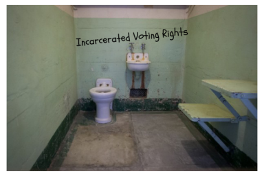 Incarcerated Voting Rights