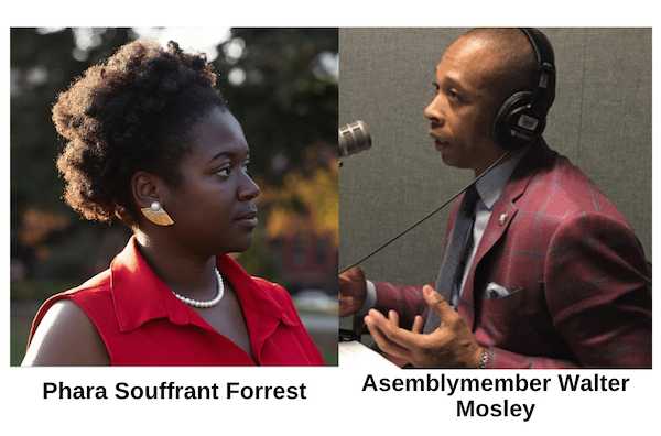 DSA Survey Of Forrest Sews Shady Underpinnings