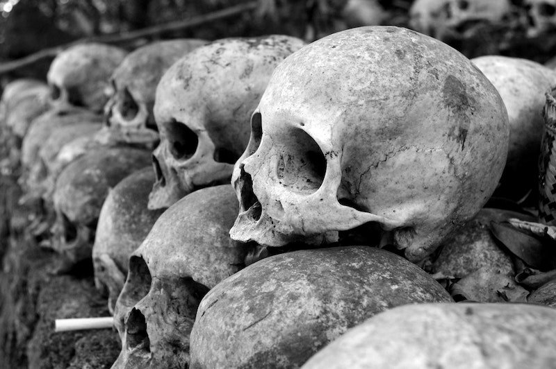 anatomy-bali-balinese-1096925