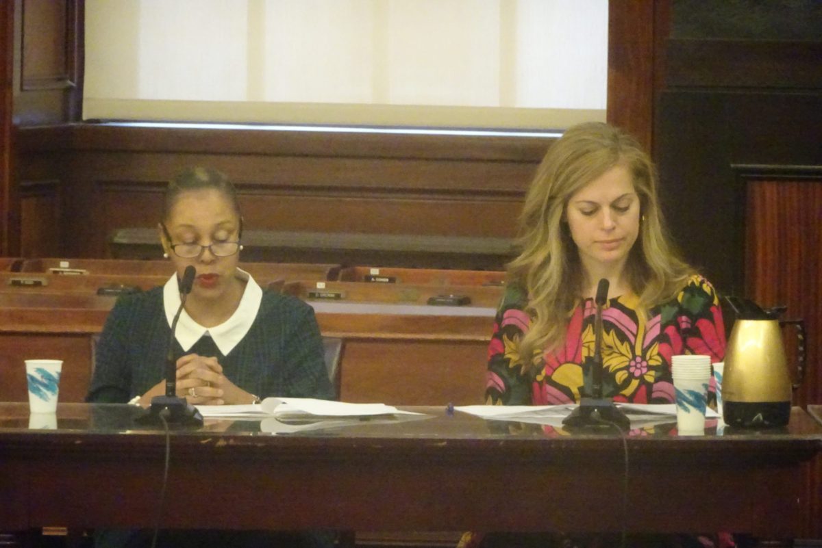 Anne-Marie Hendrickson and Margaret Brown testify (photo by William Engel)