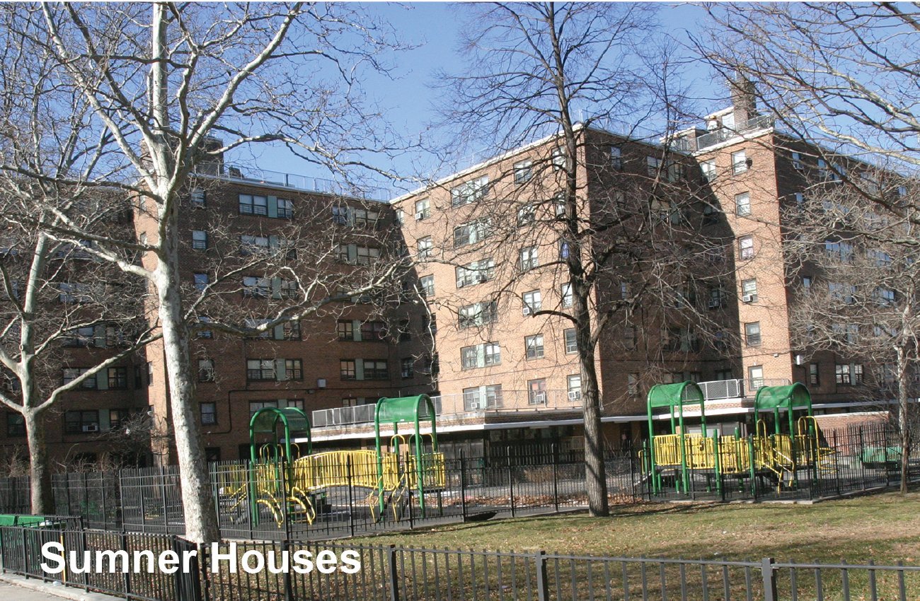 BedStuy City Council Candidates WeighIn on NYCHA, Affordable Housing
