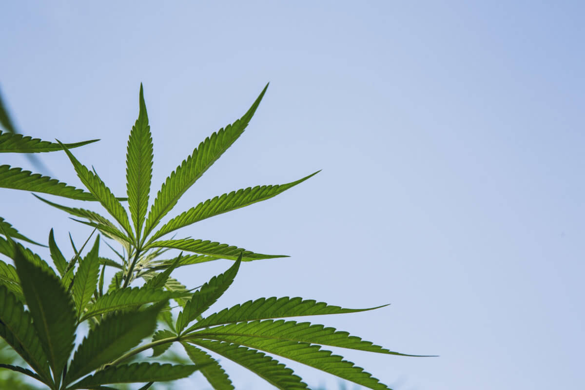 GettyImages-1096698108-1200×800-1