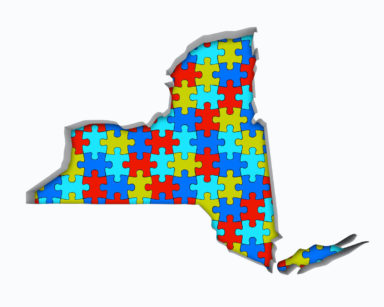 New York NY Puzzle Pieces Map Working Together 3d Illustration