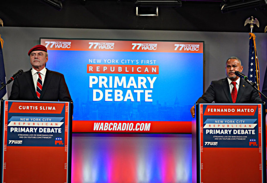 Political mudslinging essay picture