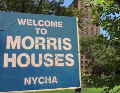 NYCHA Morris