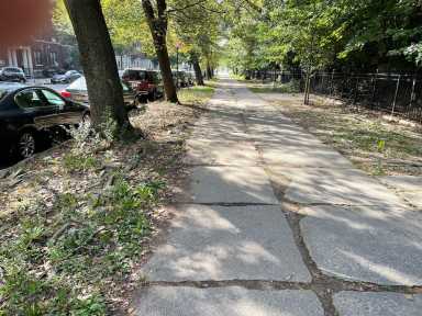 Prospect Park1