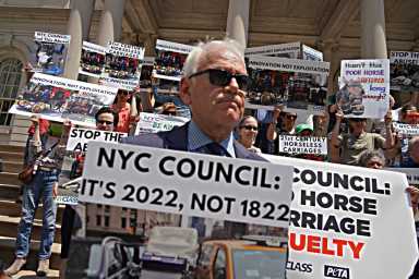 DSC04229-copy-2-1200×800-1