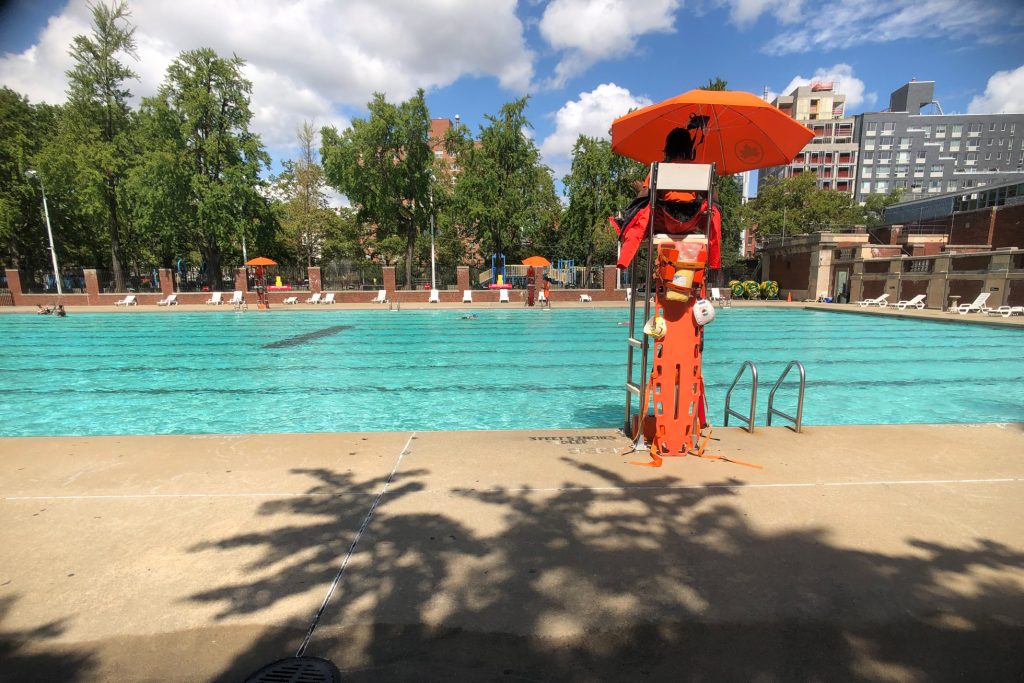 TQ-hamiltonfish-6022-1024×683-1