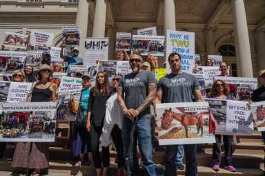 BSC02903-1200×800-1