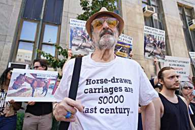 DSC01347-1200×800-1