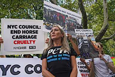 DSC08141-copy-2-1200×800-1