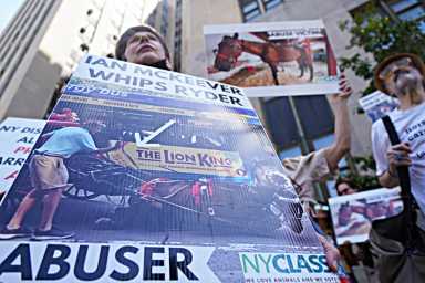 DSC01379-1200×800-1