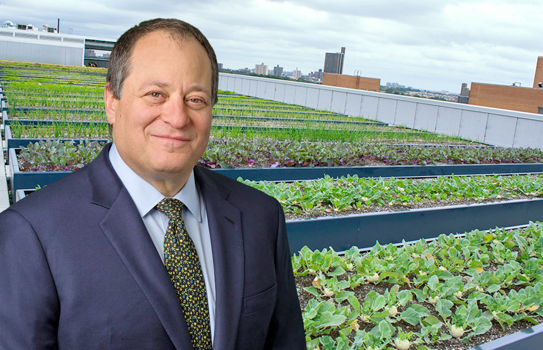 David-Perlstein_Banner