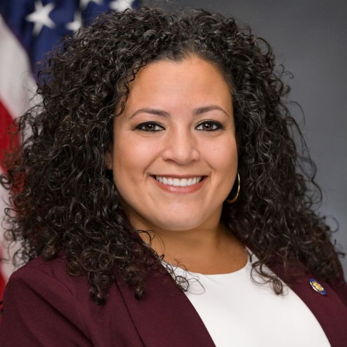 Nathalia Fernandez- NYS Senate