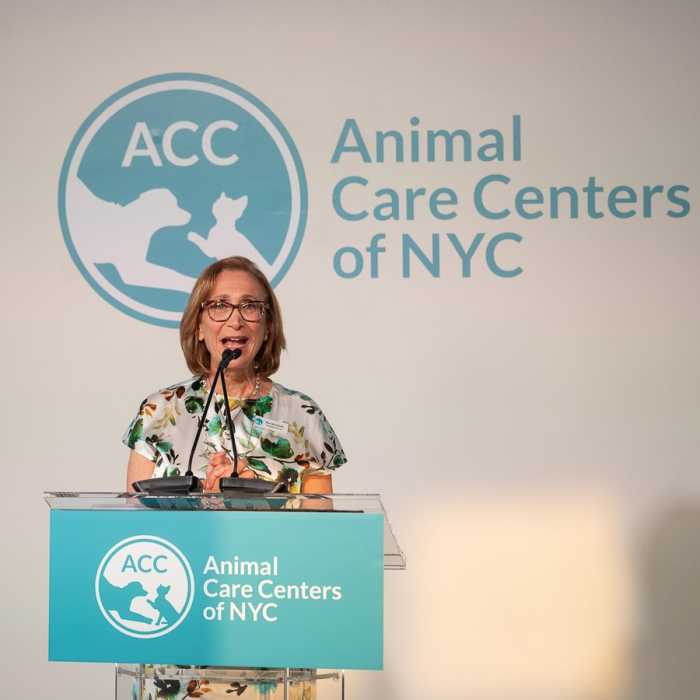 Risa Weinstock- Animal Care Centers of NYC