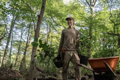 con-edison-park-grants (1)